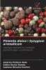Pimenta dioica i Syzygium aromaticum