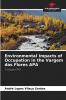 Environmental Impacts of Occupation in the Vargem das Flores APA