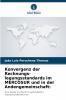 Konvergenz der Rechnungs-legungsstandards im MERCOSUR und in der Andengemeinschaft