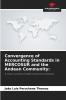 Convergence of Accounting Standards in MERCOSUR and the Andean Community
