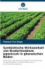 Symbiotische Wirksamkeit von Bradyrhizobium japonicum in ghanaischen Böden