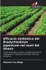 Efficacia simbiotica del Bradyrhizobium japonicum nei suoli del Ghana