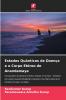 Estados Quânticos de Doença e o Corpo Etéreo de Anandamaya