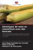 Génotypes de maïs en consortium avec des haricots