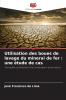 Utilisation des boues de lavage du minerai de fer