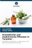 Aromatische und medizinische Pflanzen in Tunesien