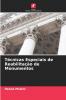 Técnicas Especiais de Reabilitação de Monumentos