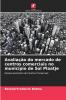 Avaliação do mercado de centros comerciais no município de Sol Plaatje