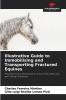 Illustrative Guide to Immobilising and Transporting Fractured Equines