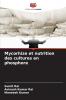 Mycorhize et nutrition des cultures en phosphore