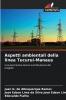Aspetti ambientali della linea Tucuruí-Manaus