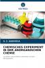 CHEMISCHES EXPERIMENT IN DER ANORGANISCHEN CHEMIE