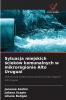 Sytuacja miejskich ścieków komunalnych w mikroregionie Alto Uruguai
