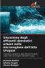 Situazione degli effluenti domestici urbani nella microregione dell'Alto Uruguai