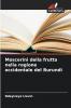 Moscerini della frutta nella regione occidentale del Burundi
