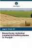 Bewertung rentabler Landwirtschaftssysteme in Punjab