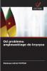 Od problemu anglosaskiego do kryzysu