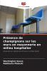 Présence de champignons sur les murs en maçonnerie en milieu hospitalier