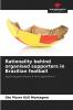Rationality behind organised supporters in Brazilian football