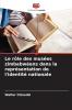 Le rôle des musées zimbabwéens dans la représentation de l'identité nationale