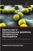 Operon Gal w fermentującym galaktozę Streptococcus thermophilus