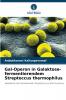 Gal-Operon in Galaktose-fermentierendem Streptoccus thermophilus