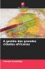 A gestão das grandes cidades africanas