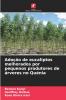 Adoção de eucaliptos melhorados por pequenos produtores de árvores no Quénia