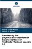 Bewertung der physikalisch-chemischen Eigenschaften von Teakholz (Tectona grandis L.)