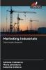 Marketing industriale