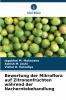 Bewertung der Mikroflora auf Zitronenfrüchten während der Nacherntebehandlung