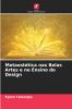 Metaestética nas Belas Artes e no Ensino do Design