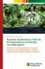 Aumento da Eficiência Total de Armazenadores de Energia com Hidrogênio