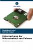 Untersuchung der Mikrostruktur von Pulvern