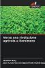 Verso una rivoluzione agricola a Korsimoro