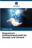 Magnesium - Schlüsselwerkstoff für Energie und Umwelt