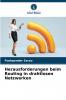 Herausforderungen beim Routing in drahtlosen Netzwerken