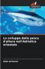 Lo sviluppo della pesca d'altura nell'Adriatico orientale