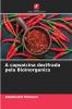 A capsaicina decifrada pela Bioinorganics