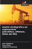 Analisi stratigrafica ed esplorazione petrolifera offshore Delta del Nilo
