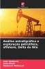 Análise estratigráfica e exploração petrolífera offshore Delta do Nilo