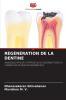 RÉGÉNÉRATION DE LA DENTINE