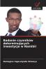 Badanie czynników determinujących inwestycje w Namibii