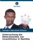 Untersuchung der Determinanten von Investitionen in Namibia