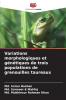 Variations morphologiques et génétiques de trois populations de grenouilles taureaux