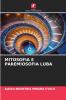 MITOSOFIA E PAREMIOSOFIA LUBA