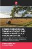 CONSEQUÊNCIAS DA TRANSMUTAÇÃO DAS TERRAS AGRÍCOLAS UTILIZANDO GEE