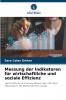 Messung der Indikatoren für wirtschaftliche und soziale Effizienz