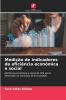 Medição de indicadores de eficiência económica e social