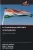 La Costituzione dell'India reimmaginata